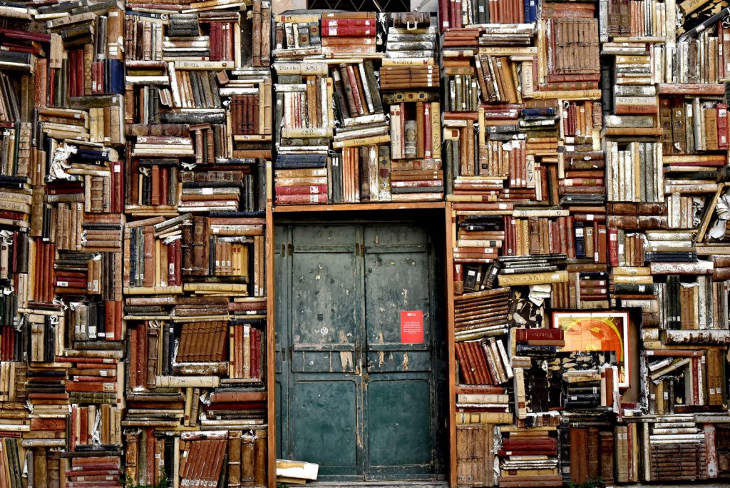 An old library with books taking all space in the wall is being used to represent how culture can also be a type of predatory energy
