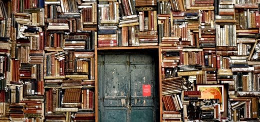 An old library with books taking all space in the wall is being used to represent how culture can also be a type of predatory energy