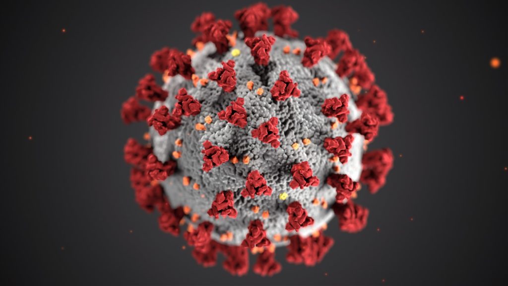Illustration of COVID-19, created at the Centers for Disease Control and Prevention (CDC)